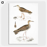 2-80_Indian-Zoology_picture-crop
