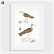 2-80_Indian-Zoology_picture