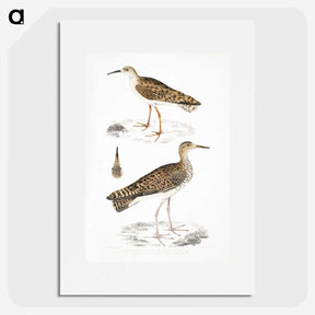 2-80_Indian-Zoology_picture