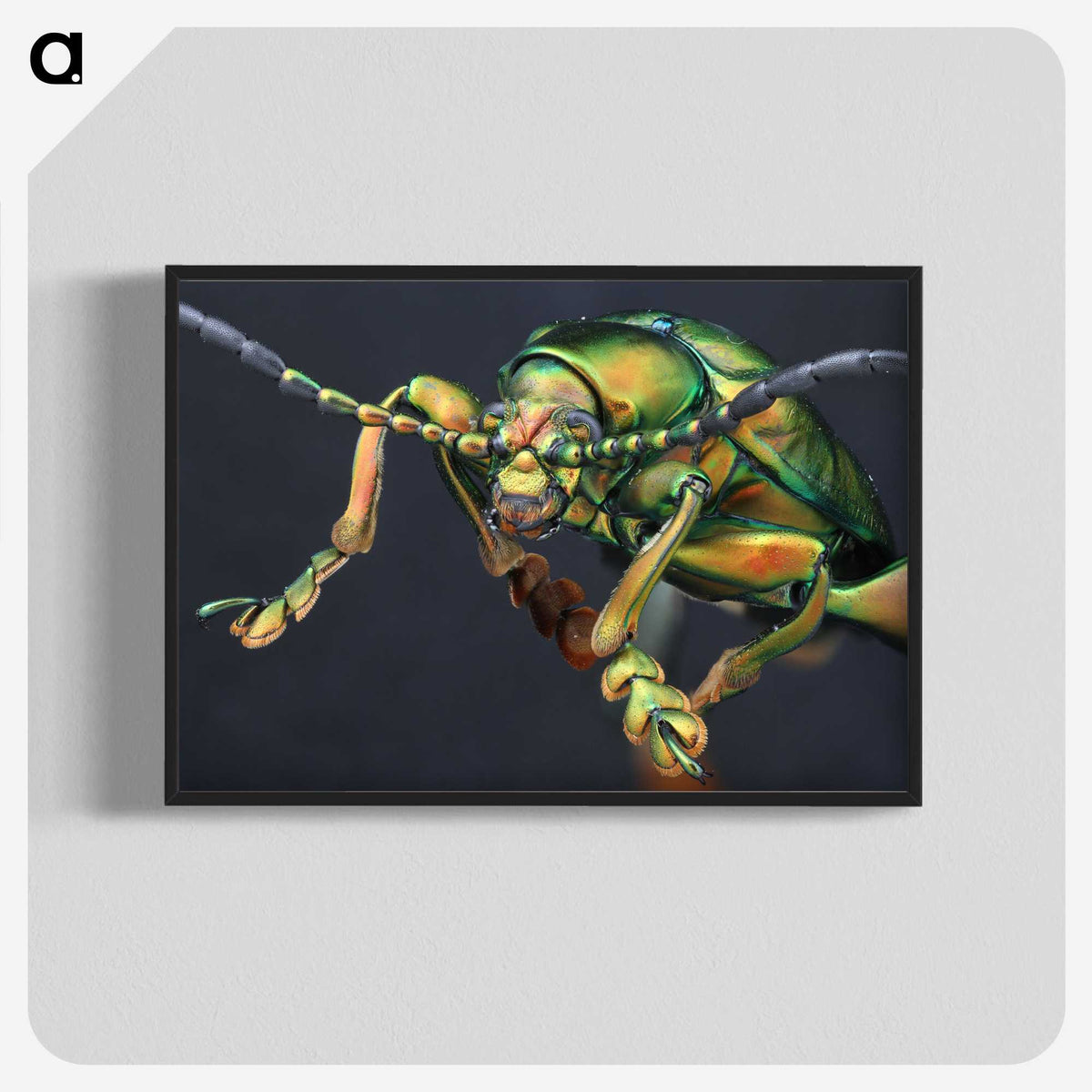 2-80_Insects-Unlocked-Project_blk-crop