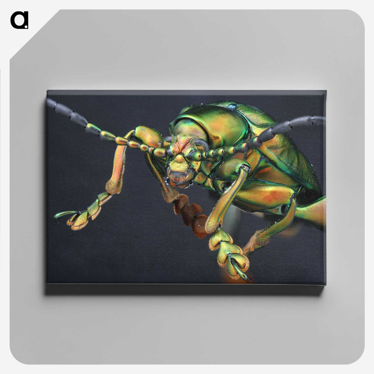 2-80_Insects-Unlocked-Project_canvas