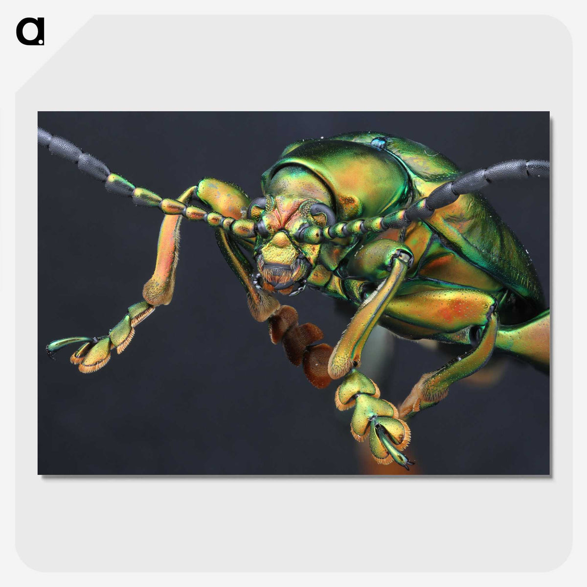 2-80_Insects-Unlocked-Project_picture-crop