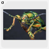 2-80_Insects-Unlocked-Project_picture-crop