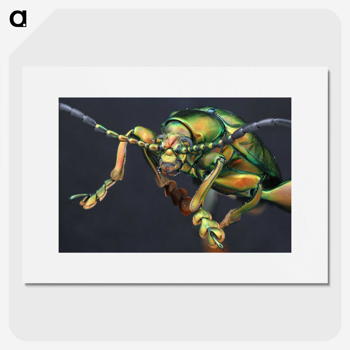 2-80_Insects-Unlocked-Project_picture
