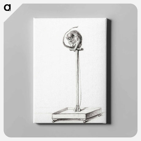 アートパネル-Little monkey sitting on a pole - ジャン ベルナール Canvas.