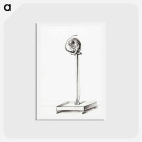 アートポストカード-Little monkey sitting on a pole - ジャン ベルナール Postcard.