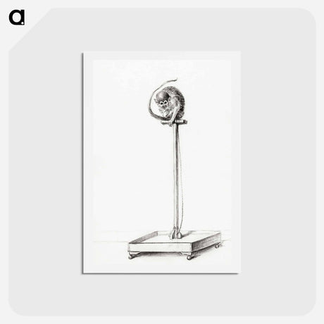アートポストカード-Little monkey sitting on a pole - ジャン ベルナール Postcard.