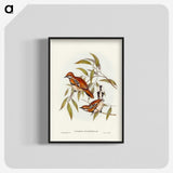 2-80_John-Gould_blk-crop