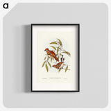 2-80_John-Gould_blk