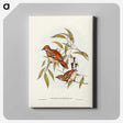 2-80_John-Gould_canvas