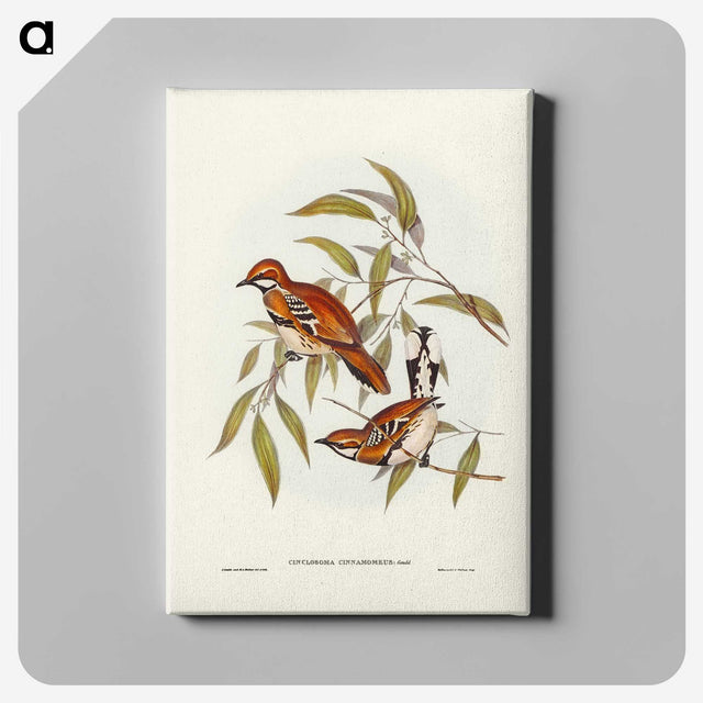 2-80_John-Gould_canvas