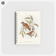 2-80_John-Gould_memo