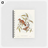 2-80_John-Gould_memo