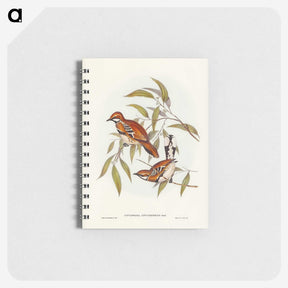 2-80_John-Gould_memo