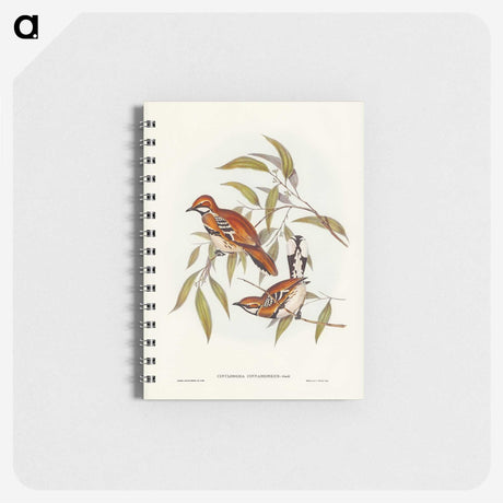2-80_John-Gould_memo