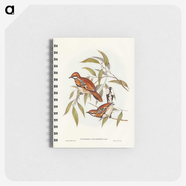 2-80_John-Gould_memo