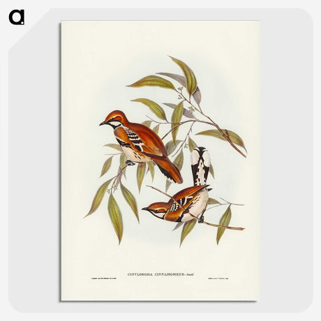 2-80_John-Gould_picture-crop