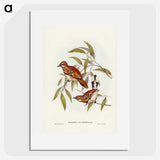 2-80_John-Gould_picture
