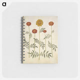 アートメモ帳-Tagetes Patula
 - マリア ジビーラ メーリアン Memo.