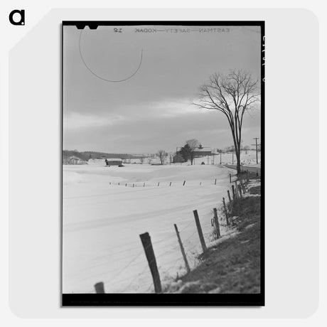 2-80_Marion-Post-Wolcott_picture-crop