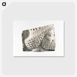 アートポストカード-Soldier's Head Relief
 - セントルイス美術館 Postcard.