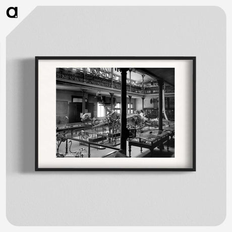2-80_The-Burton-Brothers_blk
