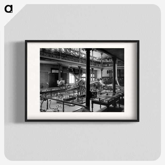 2-80_The-Burton-Brothers_blk