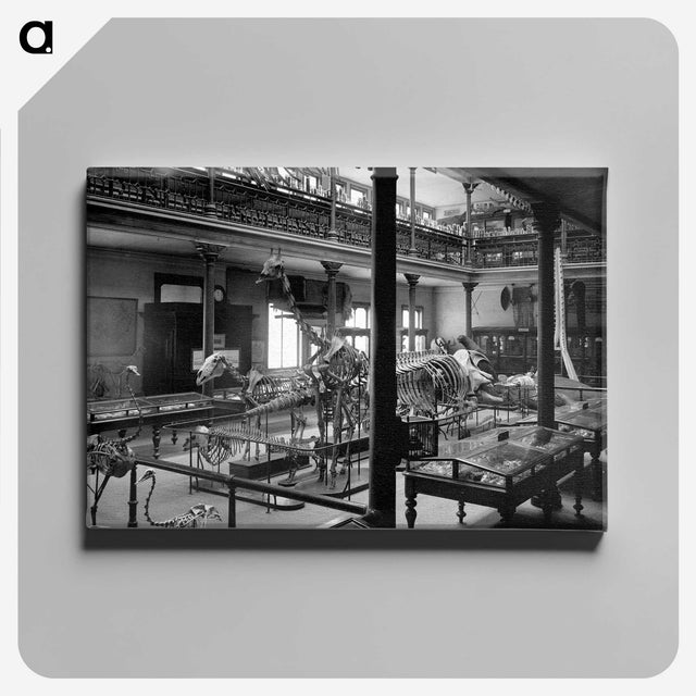 2-80_The-Burton-Brothers_canvas