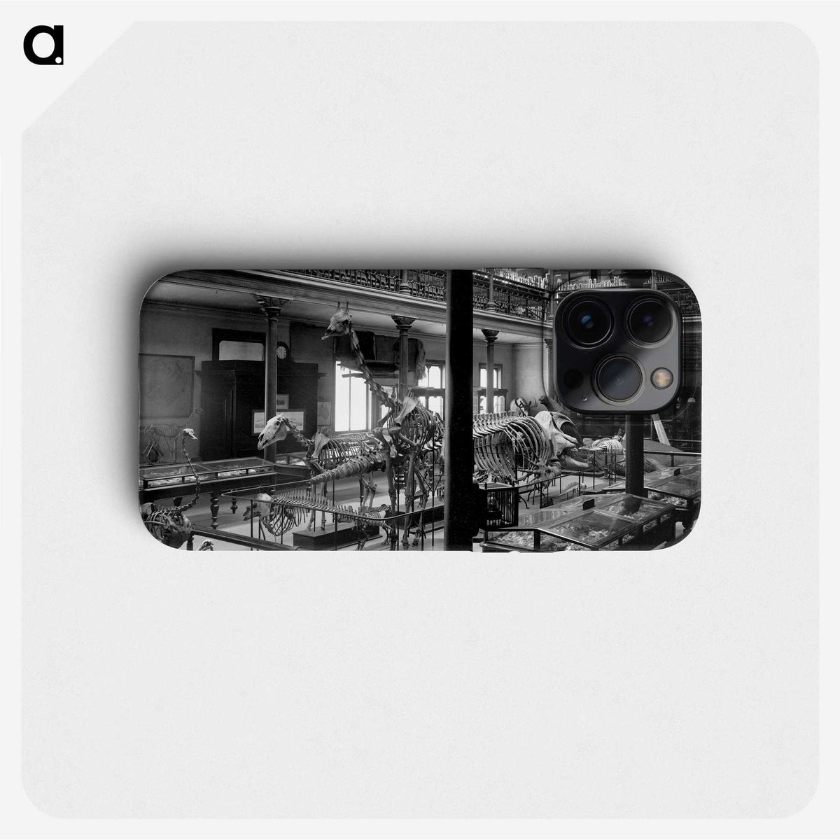 2-80_The-Burton-Brothers_phone