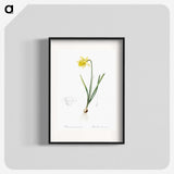 2-80_The-Lilies_blk