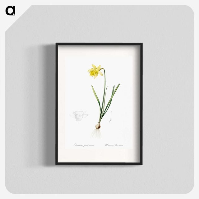 2-80_The-Lilies_blk