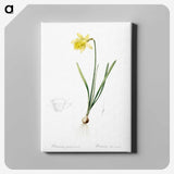 2-80_The-Lilies_canvas
