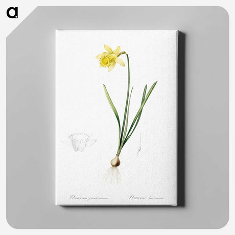 2-80_The-Lilies_canvas