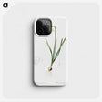 2-80_The-Lilies_phone