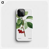 2-80_Treatise-on-Trees-and-Shrubs_phone