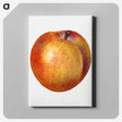 2-80_USDA-Watercolor-Fruit-Painting-Collection_canvas