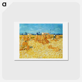 アートポストカード-Harvest in Provence - フィンセント ファン ゴッホ Postcard.