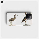 American Bittern (Ardea minor) Small Bittern (Ardea exilis) - ニューヨークの動物学 Phone Case.