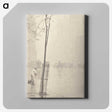 2-81_Alfred-Stieglitz_canvas