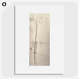 2-81_Alfred-Stieglitz_picture