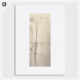 2-81_Alfred-Stieglitz_picture
