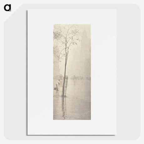 2-81_Alfred-Stieglitz_picture