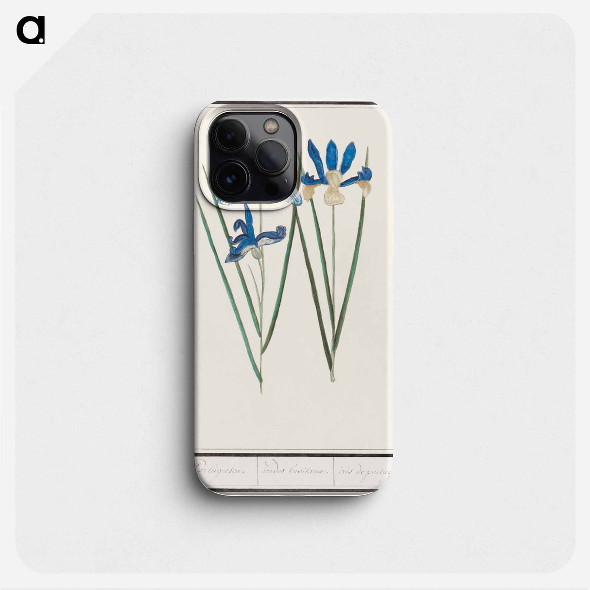 Blue iris - アンセルムス ボエティウス デ ブート Phone Case.