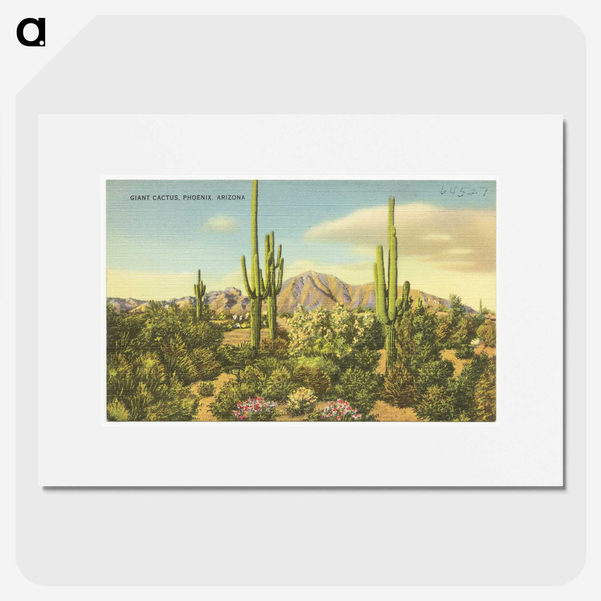 2-81_Boston-Public-Library_picture