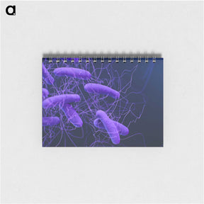 2-81_COVID-19_memo