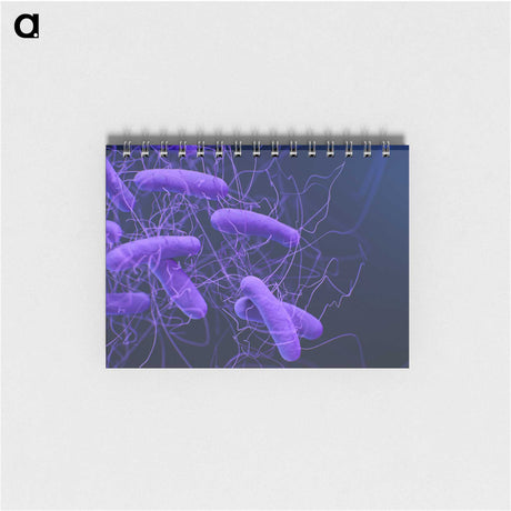 2-81_COVID-19_memo