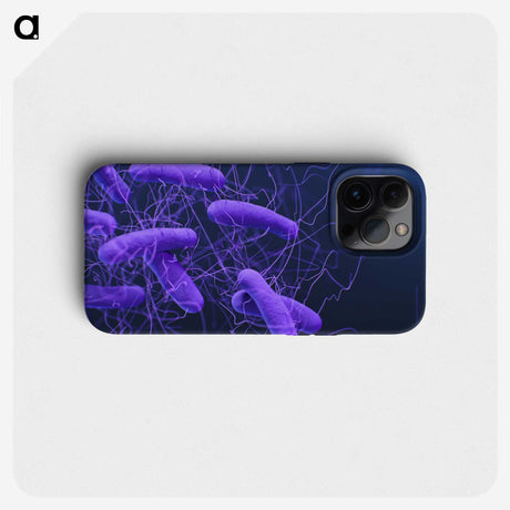 2-81_COVID-19_phone