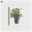 アートメモ帳-Black Prince Grape (Cinsaut)
 - クリーブランド美術館 Memo.