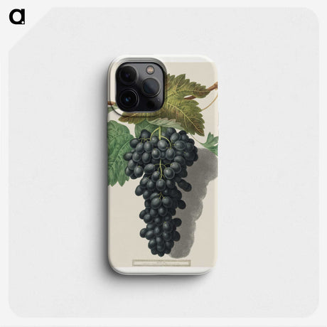 2-81_Cleveland-Museum-of-Art_phone