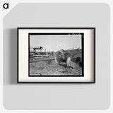 2-81_Dorothea-Lange_blk